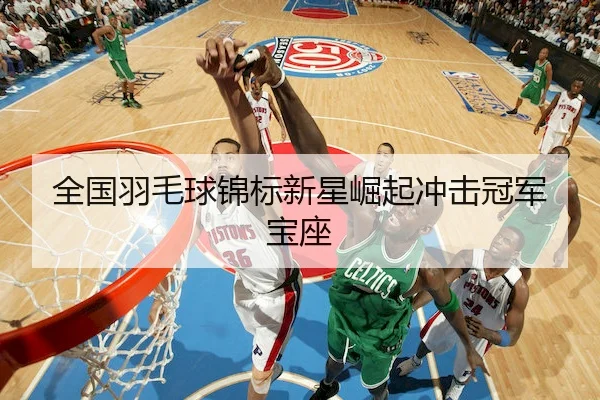 全国羽毛球锦标新星崛起冲击冠军宝座